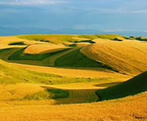 农业土壤及农产品检测